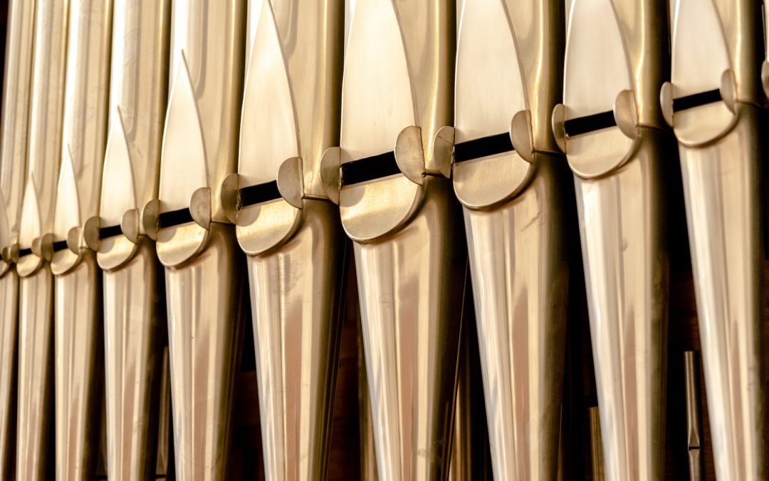 Upcoming North Shore AGO Events