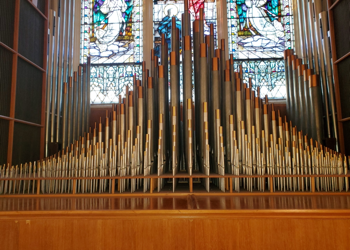Upcoming Event: Combined Organ Tour on November 19