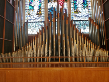 Upcoming Event: Combined Organ Tour on November 19
