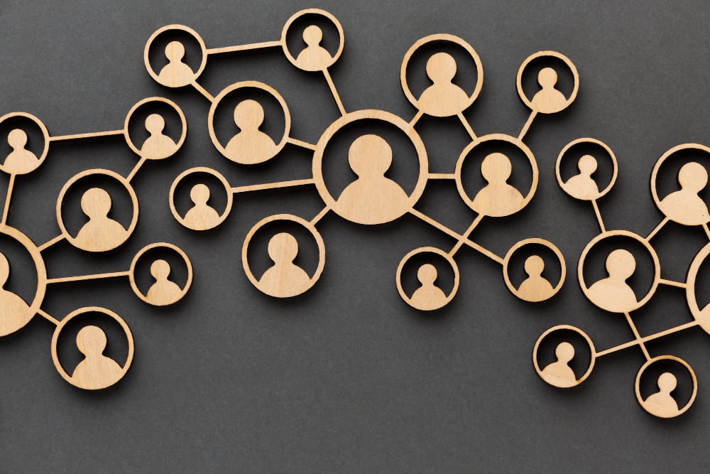 New Members February 2024