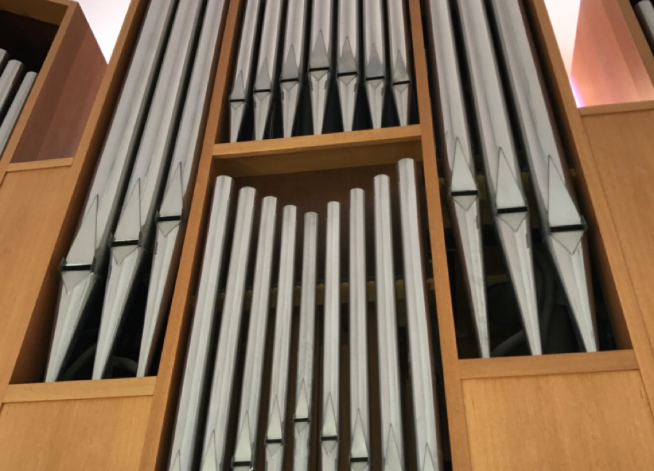 Member News: Immanuel Organ Scholar Program